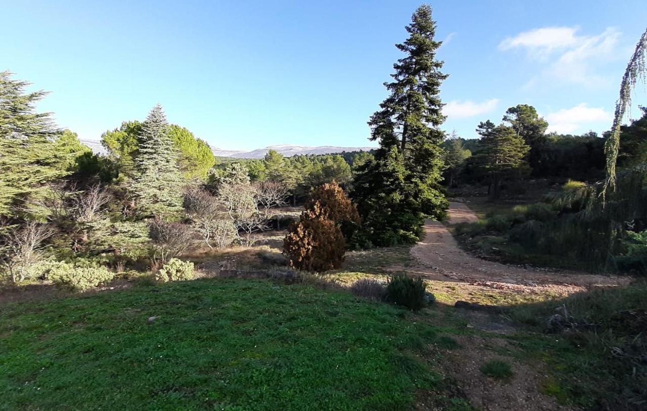 Hotel Domaine de la Xavolière Saint-Cézaire-sur-Siagne Esterno foto