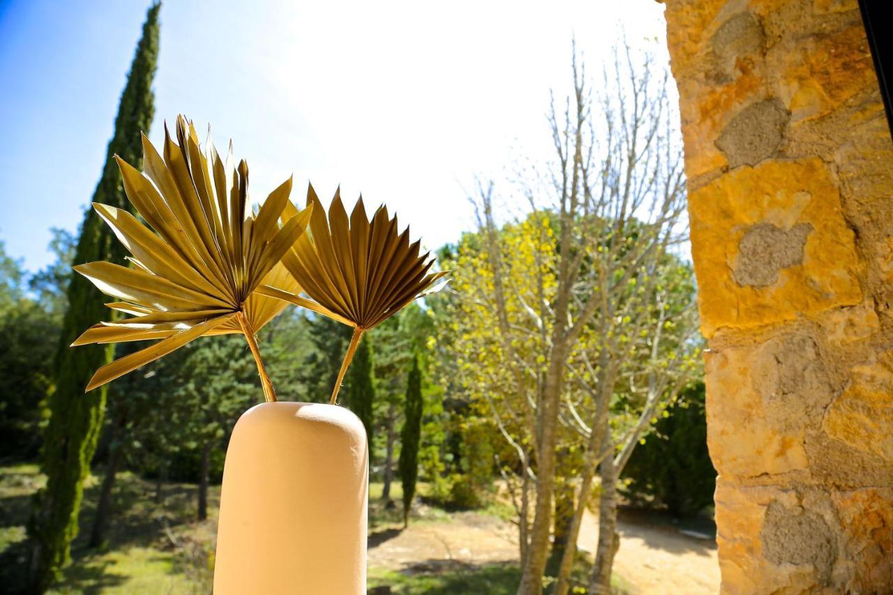 Hotel Domaine de la Xavolière Saint-Cézaire-sur-Siagne Esterno foto